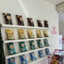 제주 일도동 카페, 파이가 맛있는 &#34;릿파이샵&#34; 내돈내산 후기