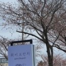 위미브런치