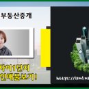 우리자이부동산중개 이미지