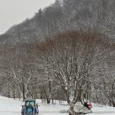 미륵산계곡꿈의궁전마을 | 2026. 1.19.미륵산계곡꿈의궁전 트렉터로 제설