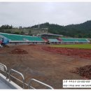 박지성공설운동장 이미지