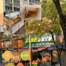 안경나라 풍암점 이미지