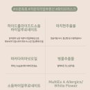 이프클락