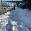 (주)대해수 | 88. 채용숙의 1월 지낸 이야기