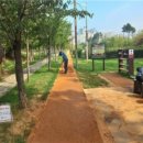 부산시설공단부산시민공원 이미지