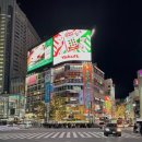 M&P Medical Agency | 캐피탈이 궁금해서 캐피탈 매장 위치만 확인하고 숙소 예약한 극 P 인간의 일본 여행 간단 후기