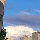 순수케이크 이미지