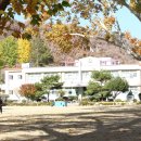 임고초등학교 이미지