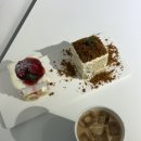 [강남역카페] 강남역카공카페 티라미수 맛집 셀렉티드닉스 후기