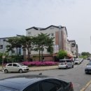 호매실벚꽃음식문화거리 이미지