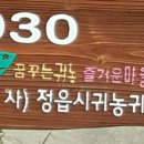 행복한 굼벵이 마을 이미지