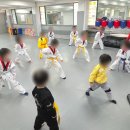 도원태권도장 이미지