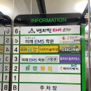 벤자민타이스파
