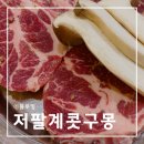 저팔계콧구몽 네이버블로그