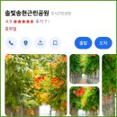 다람산근린공원 인라인스케이트장 | 동인천 도심 한가운데 위치한 센트럴파크 [송현근린공원] &gt;0&lt;