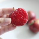 봉자농장 이미지