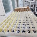 댕그루밍 | 애견미용샵 애견유치원 오픈 개업선물 강아지발바닥비누 제작후기