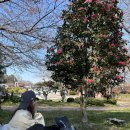 공중제비 이미지