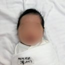 캣블링 | 조리원일상(2) (26.05.11~05.18)