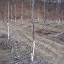 유인농장 이미지