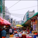충무동새벽시장 | 부산 가볼 만한 곳 자갈치아지매시장 부산여행 자갈치시장 곰장어골목 남포동 여행
