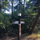 감골공원길 이미지