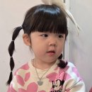 미어캣인더시티 이미지