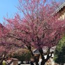 언양(서울)주유소 이미지