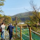 송집수효자각 이미지