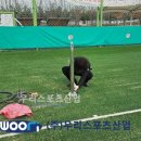 서울물재생시설공단 이미지