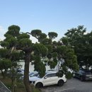 더대청호 이미지