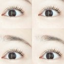 엘속눈썹 이미지