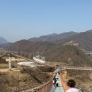 포천한탄강하늘다리 | 포천 여행 한탄강 Y자 출렁다리 입장료 시간 주차 후기