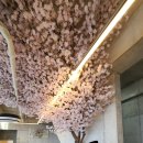 물미 농장 | 남해 카페 가볼만한곳 리스트!! (feat. 남해특산물 유자로 만든 남해 디저트)