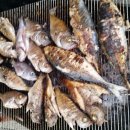 파랑새펜션 이미지