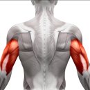 멜버른 승마 이미지