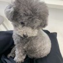 유니라벨