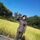 씨엘오