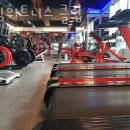 드림휘트니스 이미지