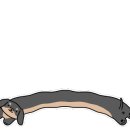 두들랜드 이미지