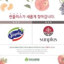 태양플러스 축산