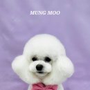 MUNG MOO 네이버블로그