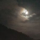 밝은행정사사무소 이미지