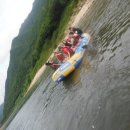 펜션화수목 이미지