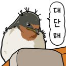 지빠 이미지