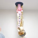 852 이미지
