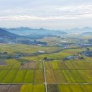 들녘 옷 이미지