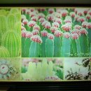 초록세상 이미지