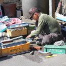 구룡포시장 이미지