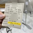 포더독스 강아지 강서 마곡점 이미지